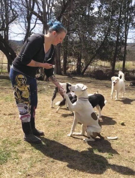 Oneonta woman puts animals first in new business