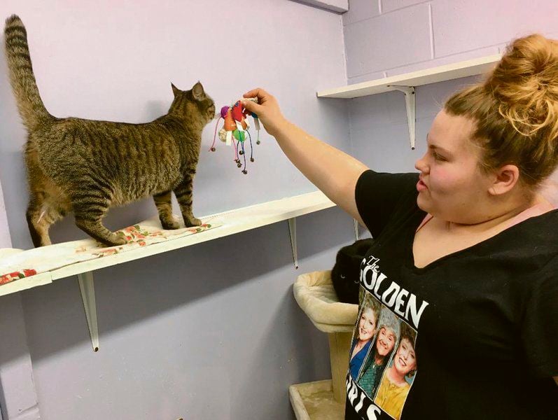 Volunteers are key to shelters' success