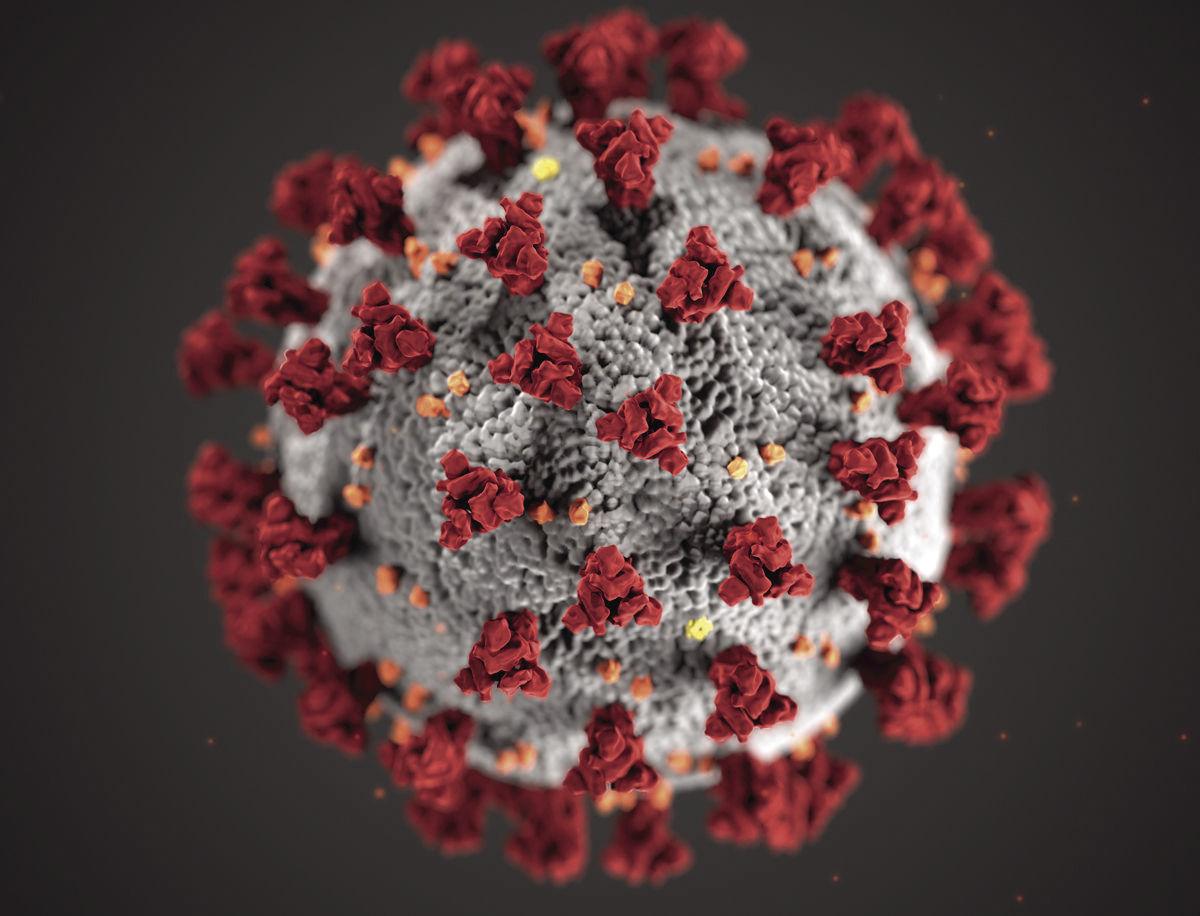 VIRUS
