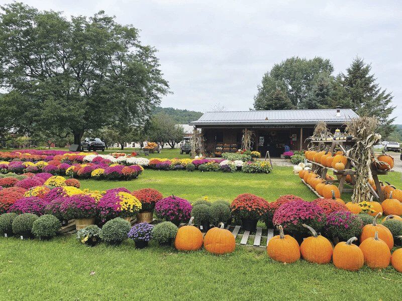 Rotary cancels fest, but event to go on with new name, sponsor