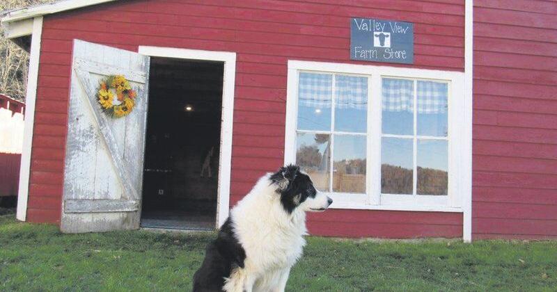 Couple launches farm store in Middlefield | Business News Couple launches farm store in Middlefield | Business News