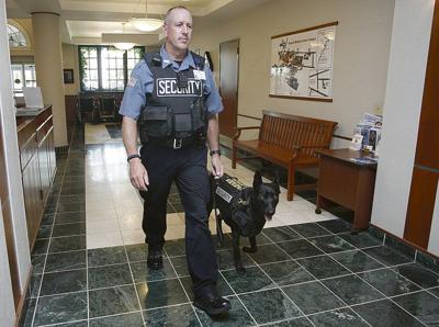 Bassett Medical Center Adds Security Dog Local News Thedailystar Com