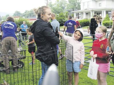 Huntington Library to celebrate 100th year Saturday | Local ...