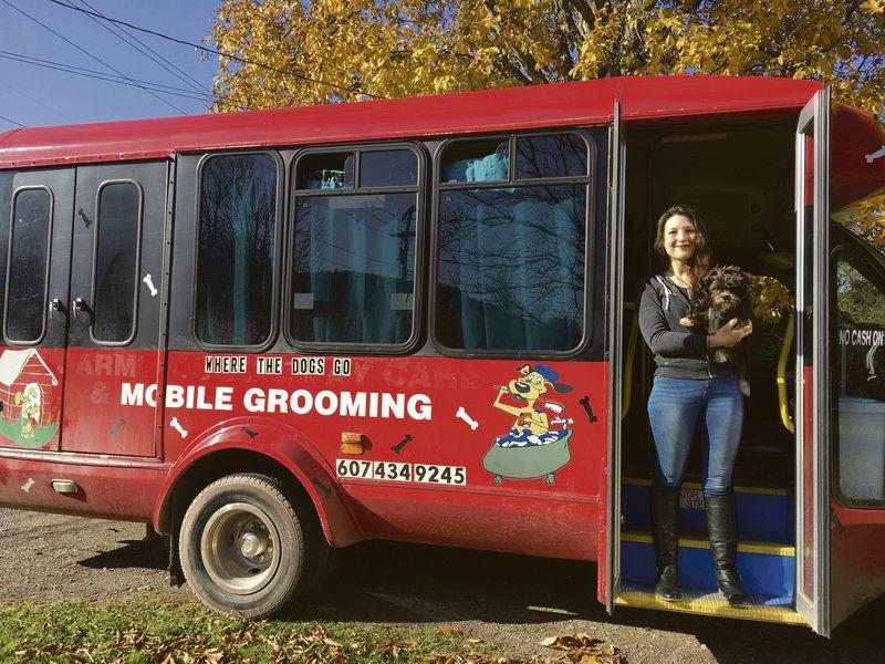 For Sidney Center Mobile Groomer Every Dog Has Its Day Business