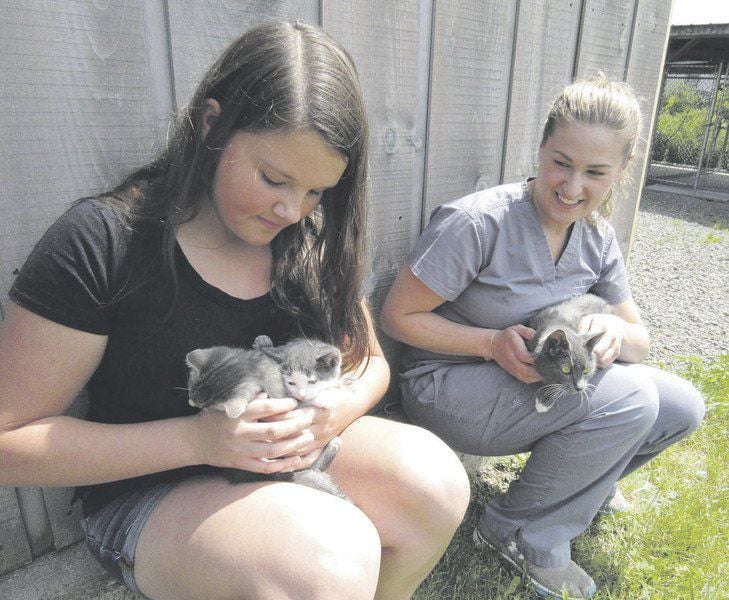 brightside humane society