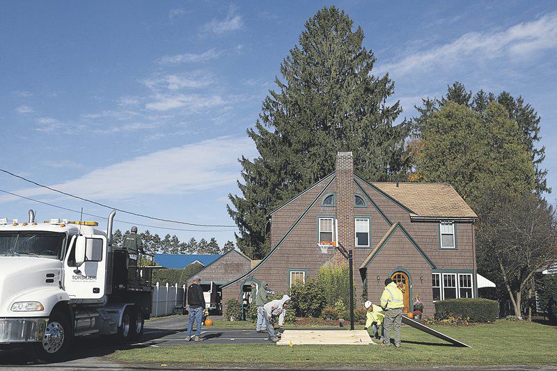Oneonta Tree To Grace Rockefeller Center Local News Thedailystar Com