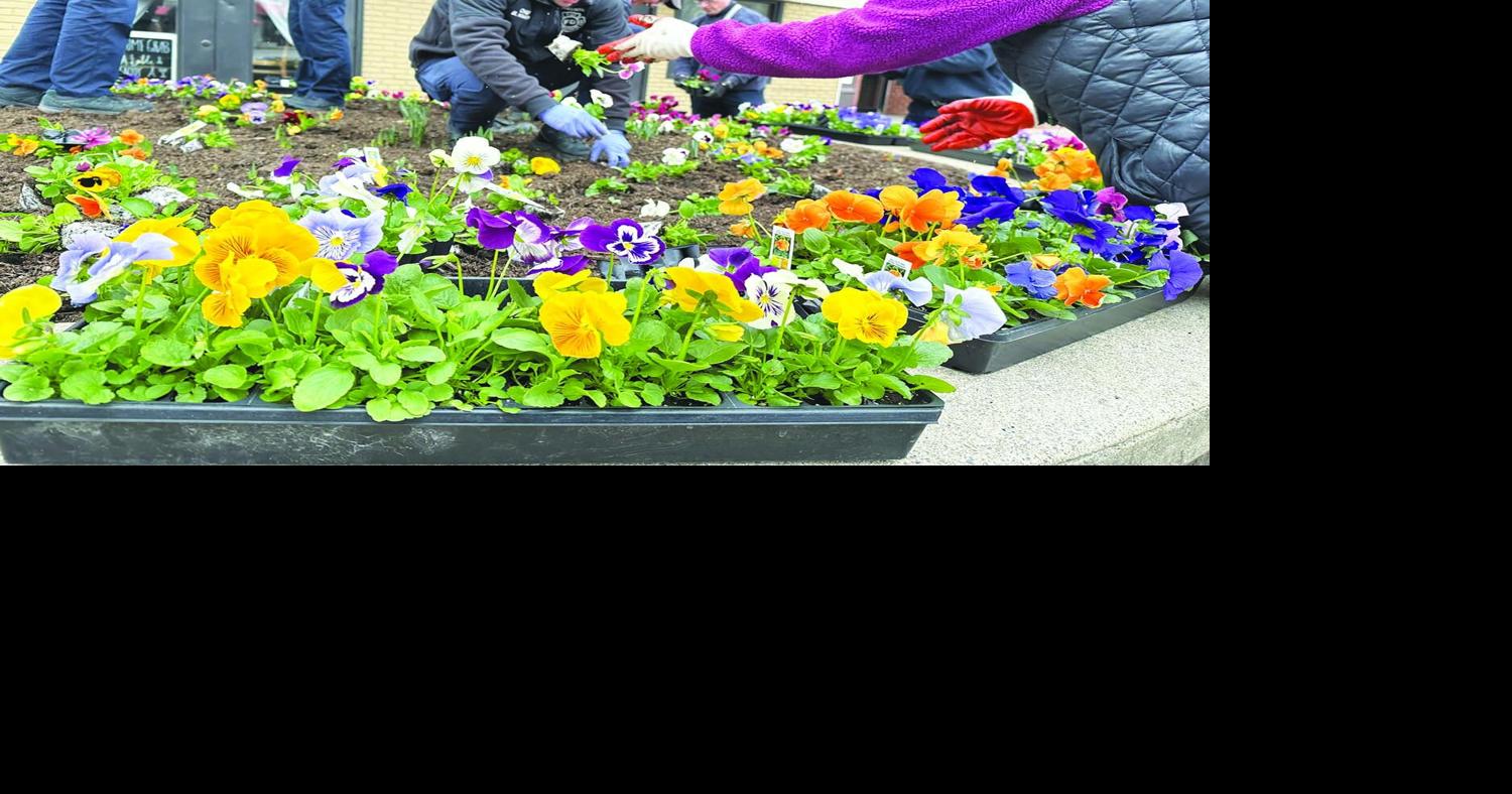 PLANTING SPRING FLOWERS | Local News | thedailystar.com