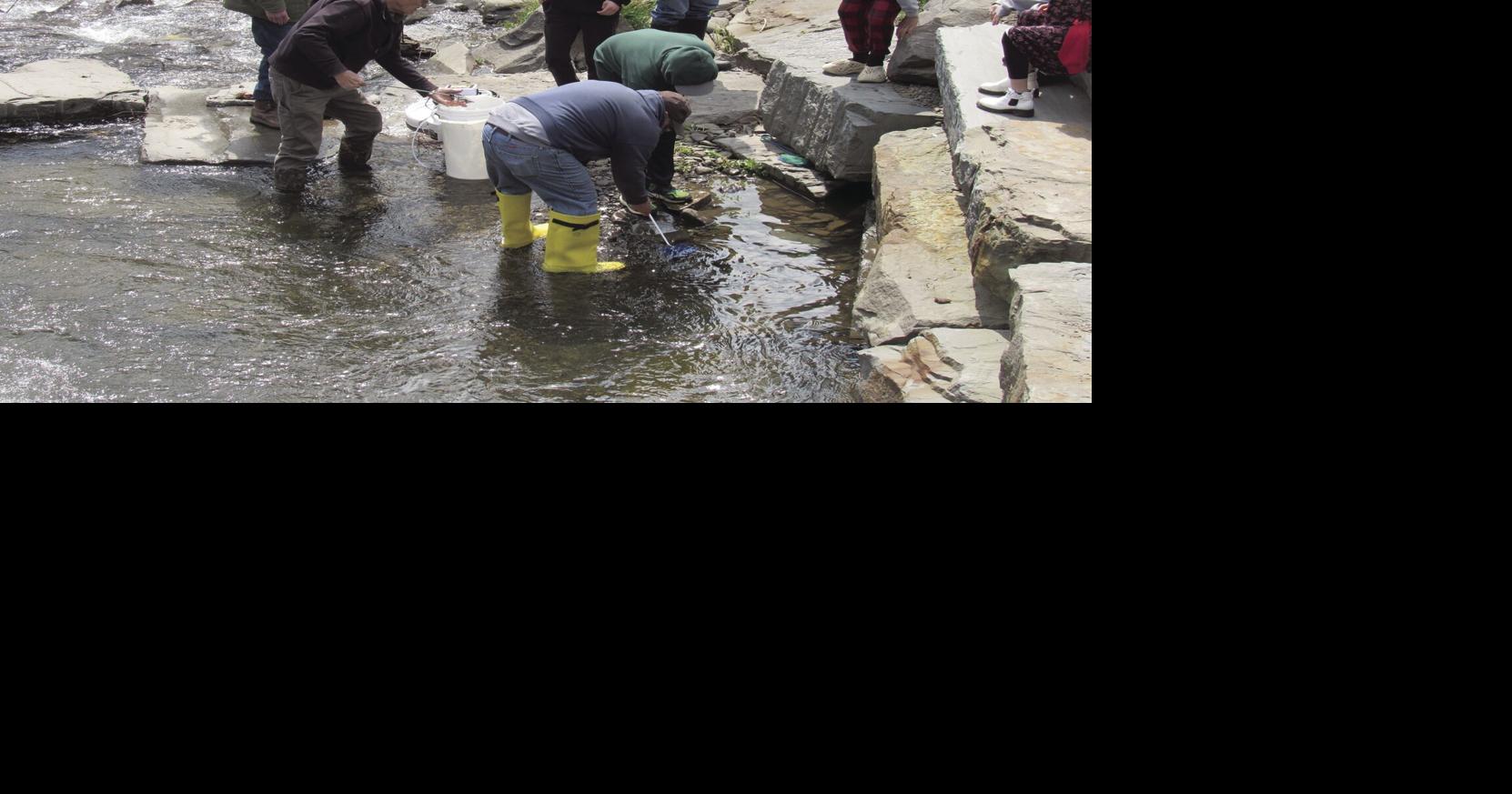 Oneonta Middle School students release trout News