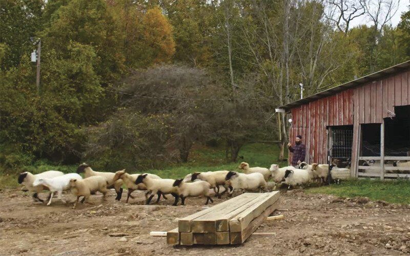 Backtracking: In Our Times: Region's agribusiness has benefitted from CADE's first 30 years | Columns - Vimarsana News
