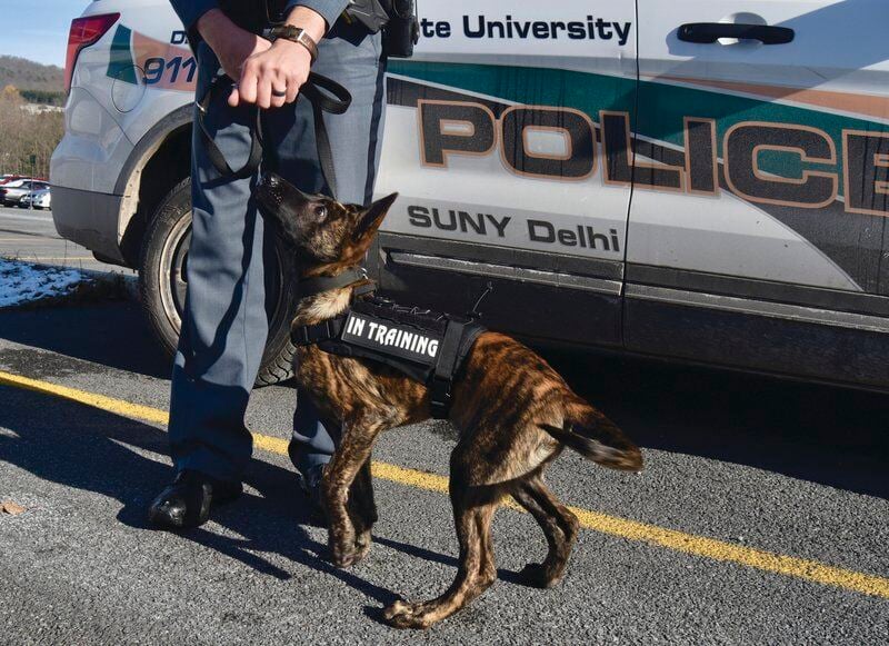 Puppy joins SUNY Delhi police force