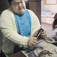 Nader Towers enacts ban on smoking in apartments | Local News ...