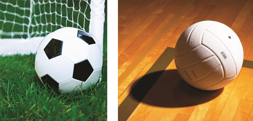 Soccer/volleyball