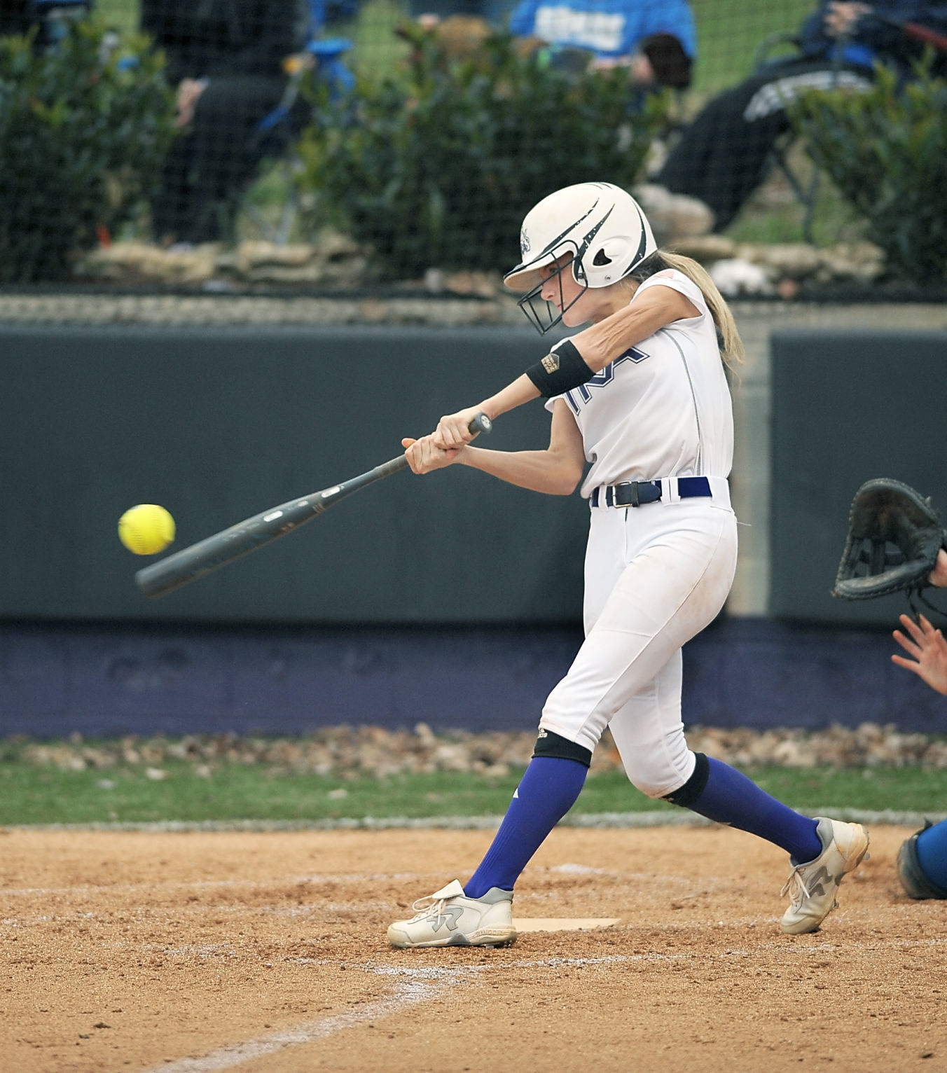 Kings County Softball - 0m9r2vb