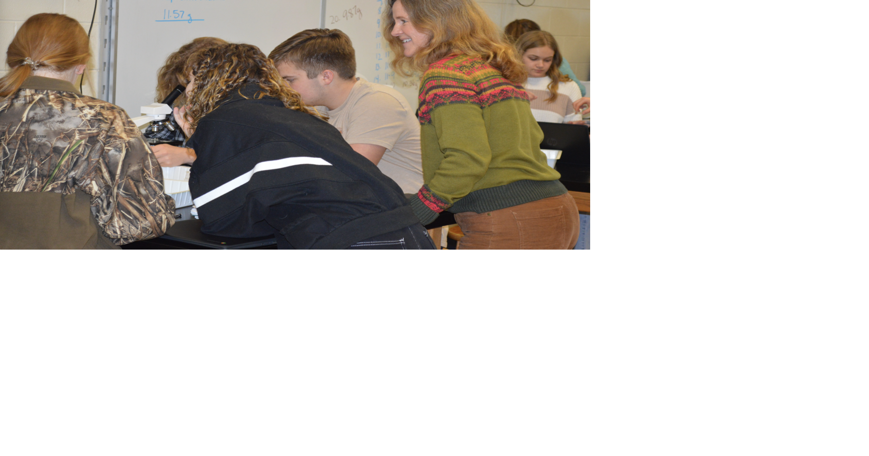 Tennessee Science Teachers Association honors William Blount High