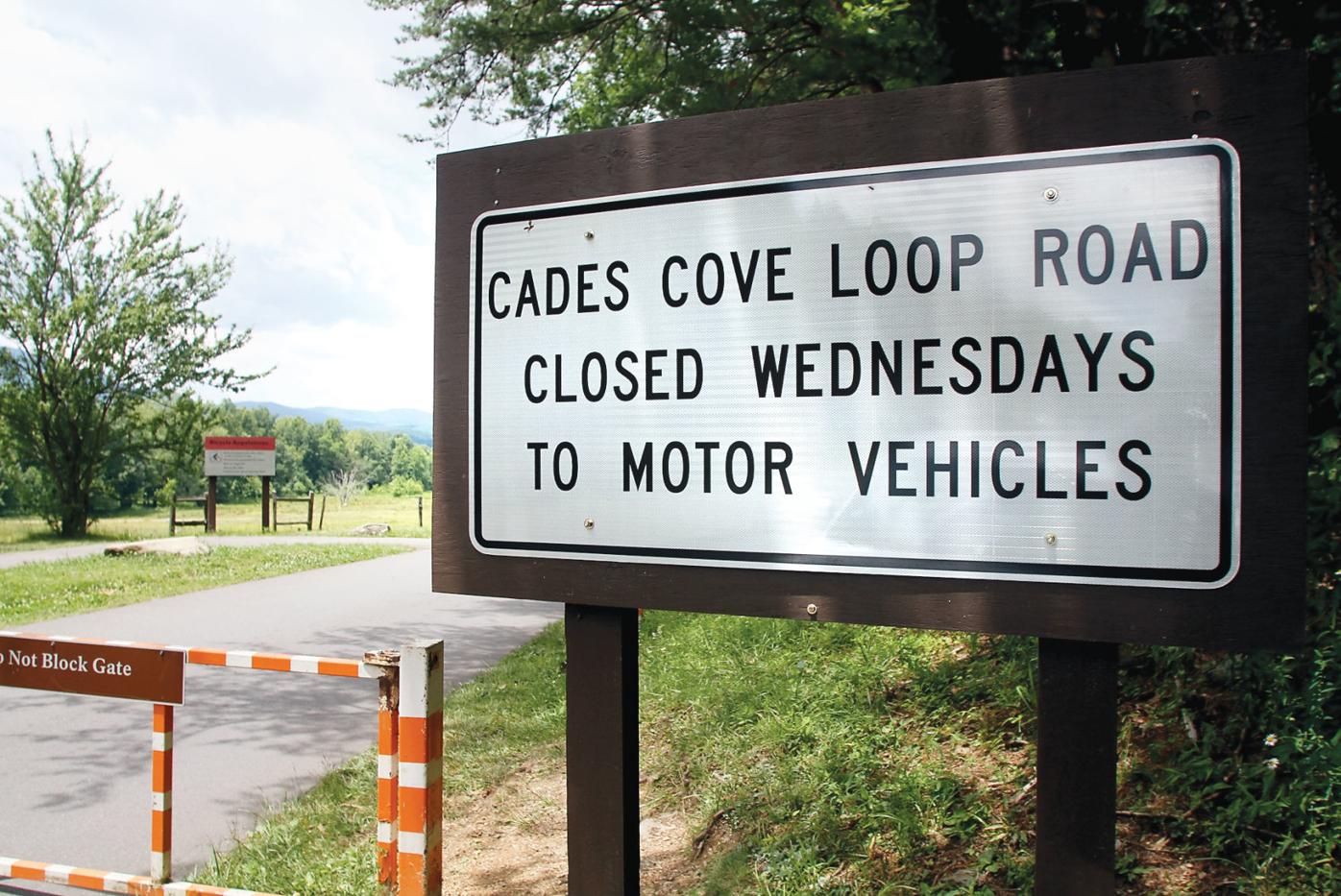 Free range Cades Cove starts vehiclefree Wednesdays with a little