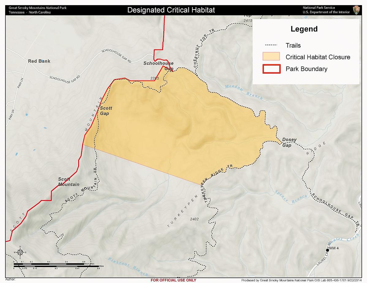 Smokies Park closes Whiteoak Sink area to protect bats | News