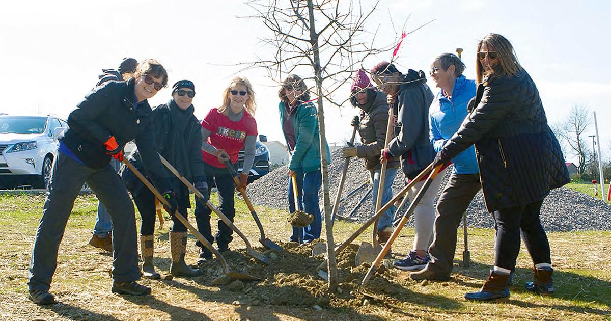 Tenessee Treepeople Easy being green: Tennessee Tree Day encourages all to take part in ...
