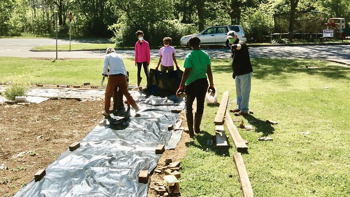 With filth, bugs and data; Undertaking Hope coming off profitable harvesting season as new one begins | Group