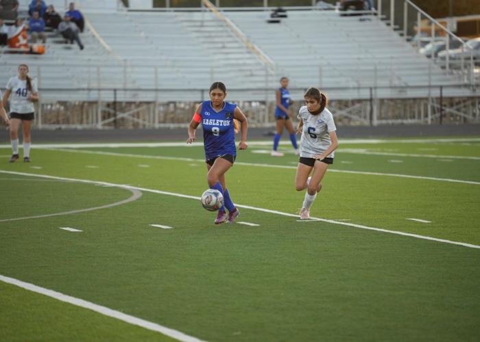 Lady Royals’ season ends against Cosby in first round of Class A Region ...