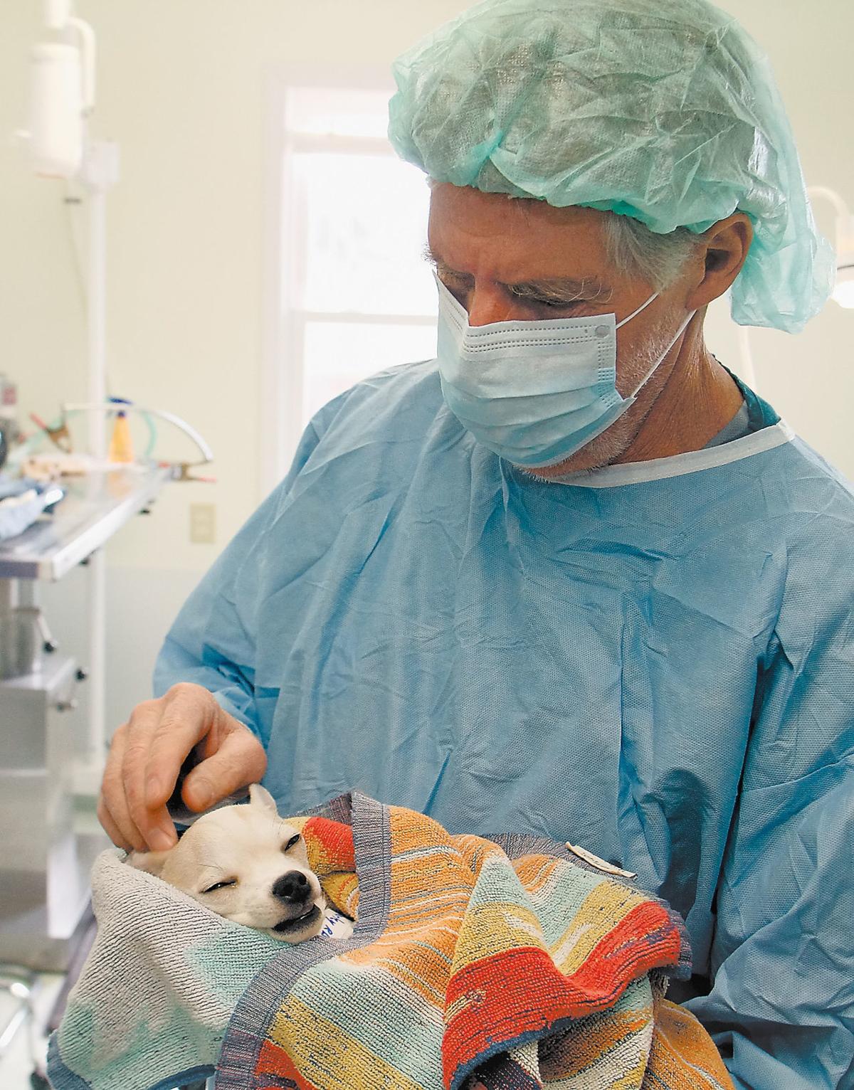 Dr Jeff Comes To Town Fundraiser To Help Spay Neuter Clinic Community Thedailytimes Com