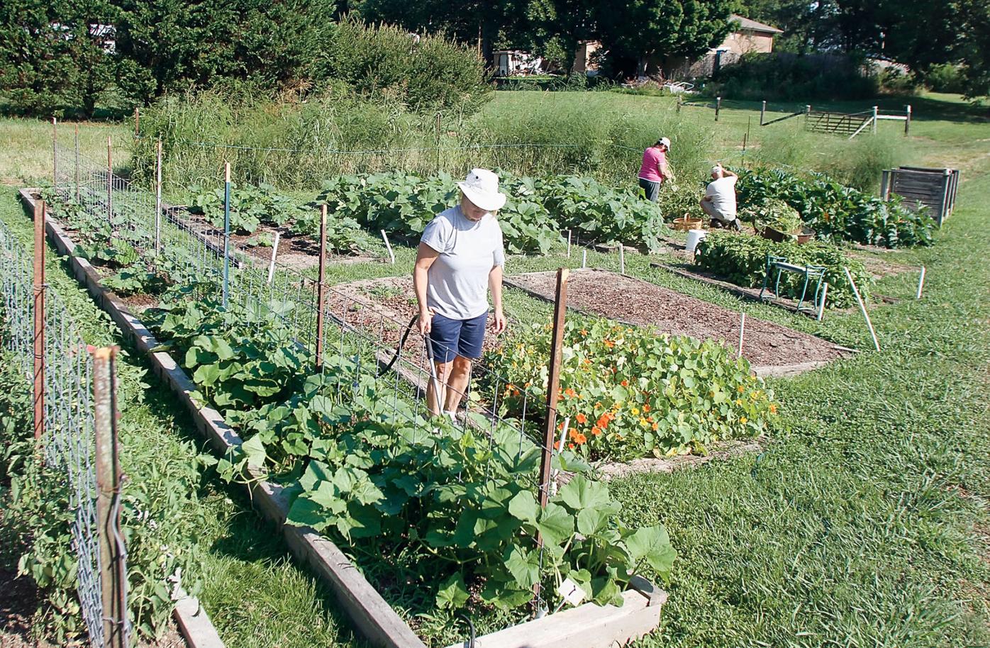 Maryville farm donates fresh produce to Blount County food banks News