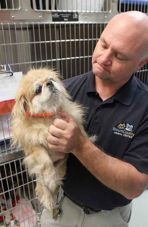 Blount County Animal Shelter Director Jim Naelitz holds Mystery
