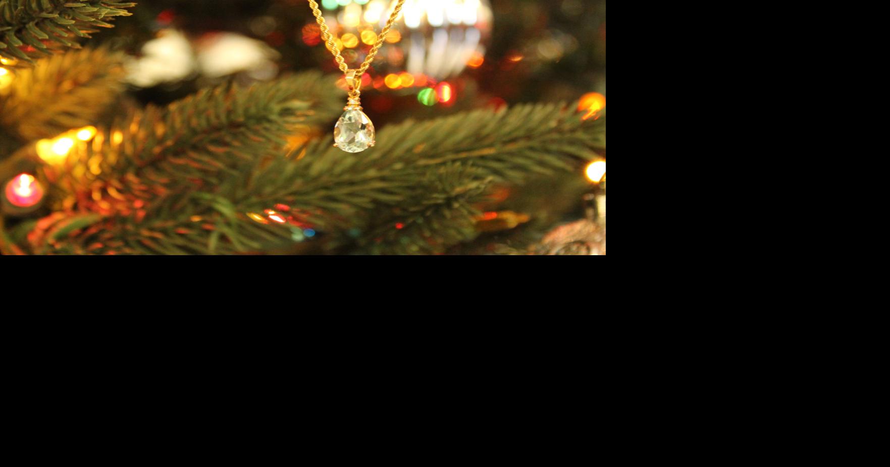 Christmas Toy Runs 2022 Maryville Tn 12 Days Of Christmas Giving: Epf Online Fundraiser Begins Tuesday | News |  Thedailytimes.com