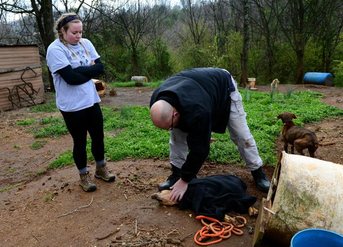 Charges still pending following dog seizures from Blount County ...