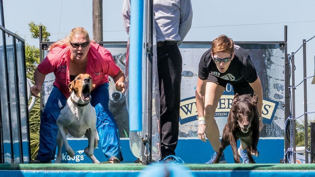 DOG GONE! Smoky Mountain DockDogs Add Some Splash To 'Summer On ...