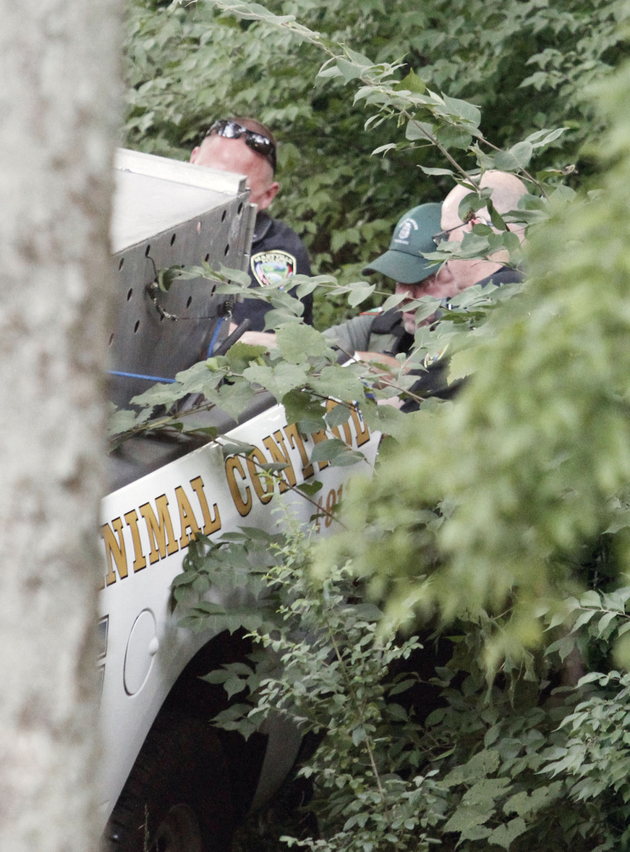 This Sevierville Grandpa'S Quick Thinking Saved Him From A Bear Attack (Twra) - o92mcpg