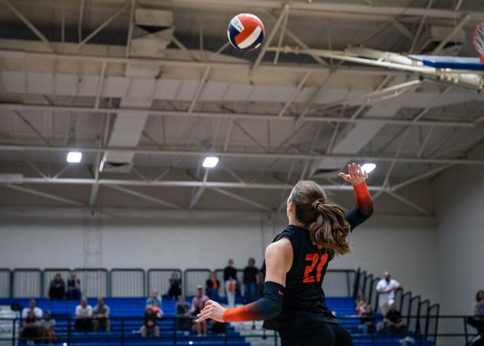William Blount volleyball falls to Science Hill to end Cinderella ...