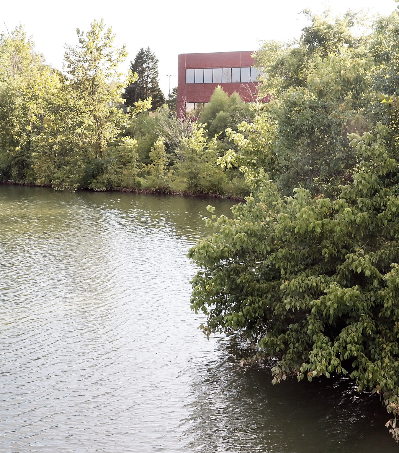 Alcoa considers Springbrook lake improvements News