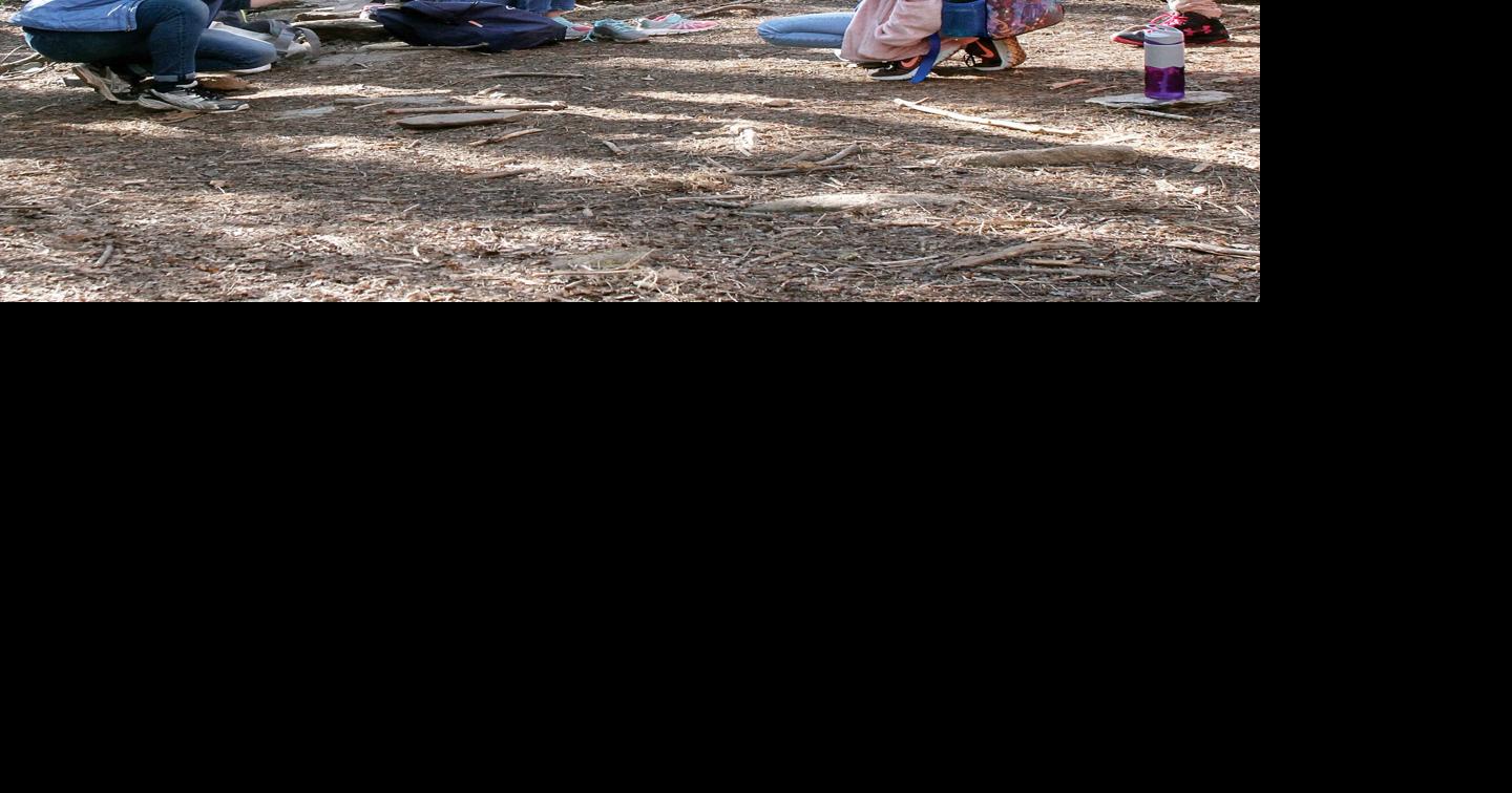 Great Smoky Mountains Institute at Tremont Connecting people with nature for half a century