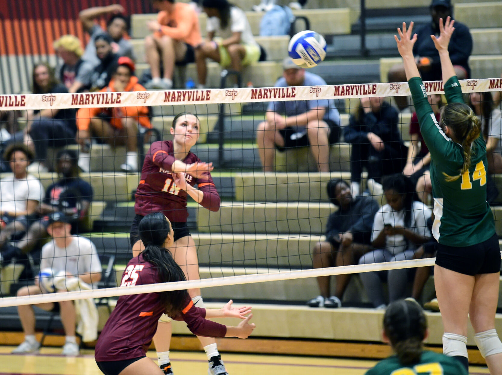 Maryville College Sweeps Belhaven In Three Sets To Open CCS Volleyball ...