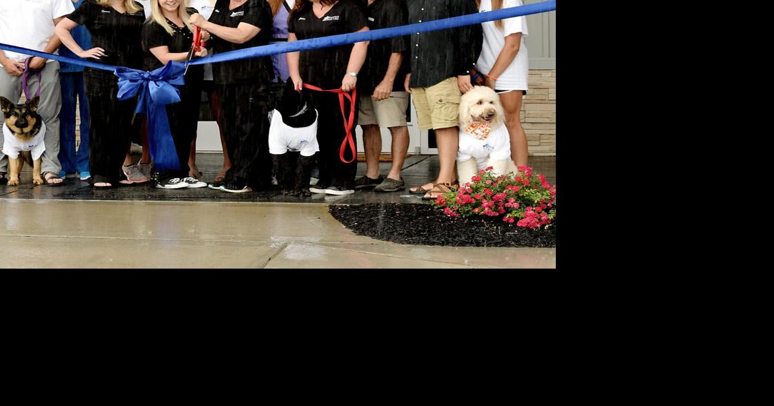 Brewster’s Bark & Bed specializes in pampering pets Business