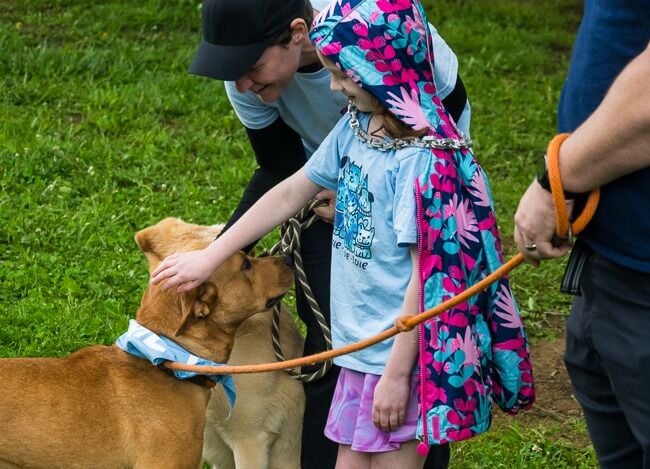 Time to Strut Your Mutt: Event on May 9 helps local animal center