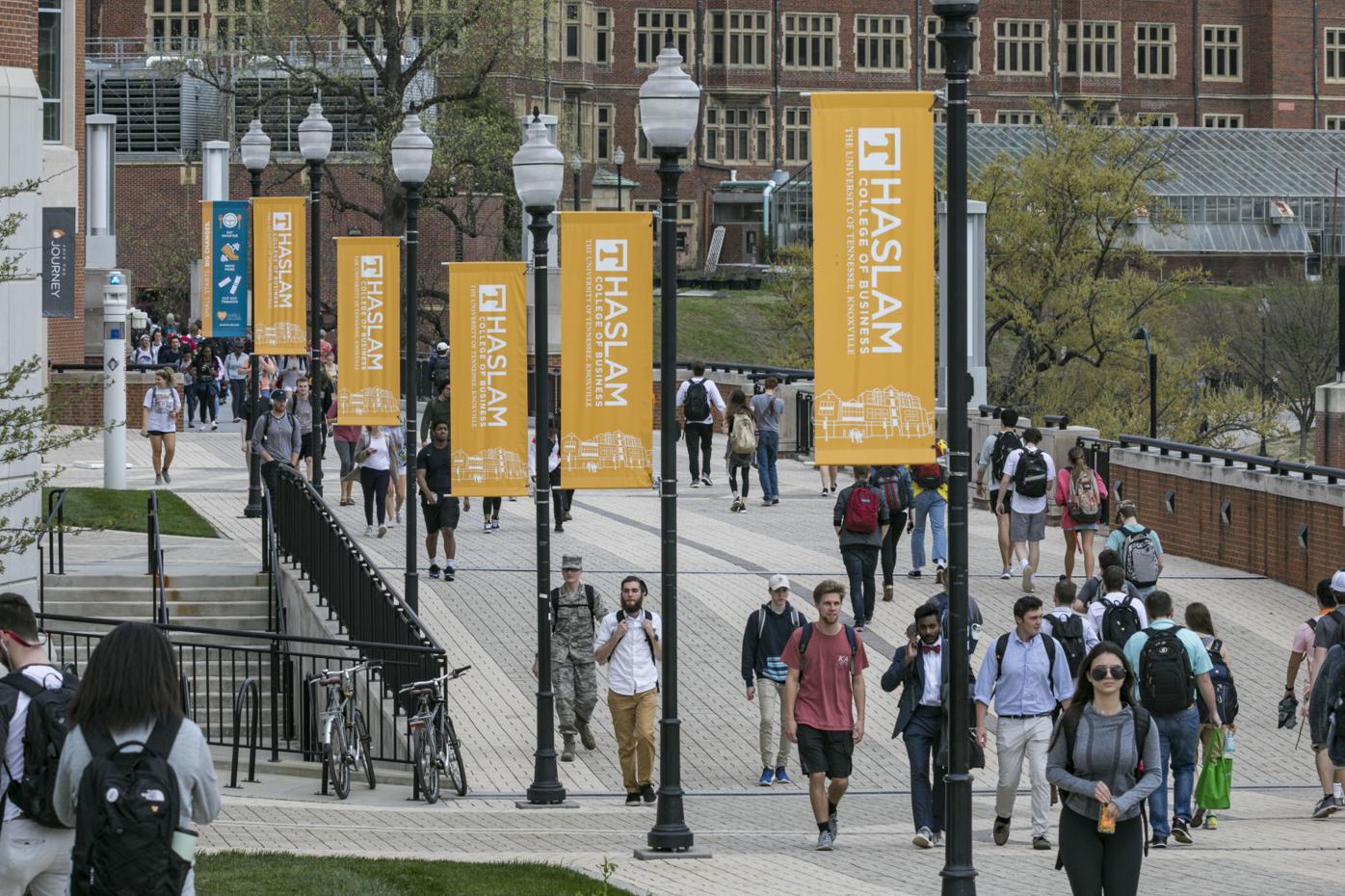 Ut To Launch 10 Online Degree Programs In Three Years News Thedailytimes Com