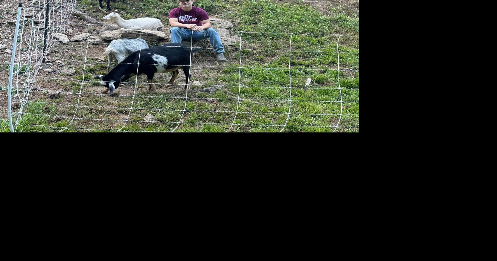 Goats for rent: WB grad earning money with team of kudzu eaters ...