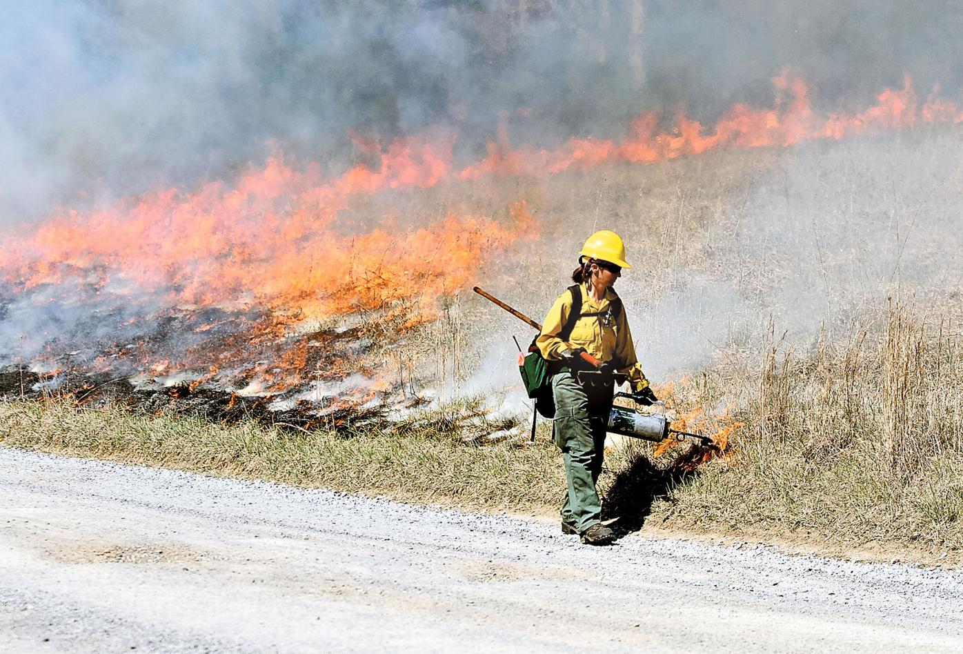 Great Smoky Mountains National Park turns to fire to preserve Cades