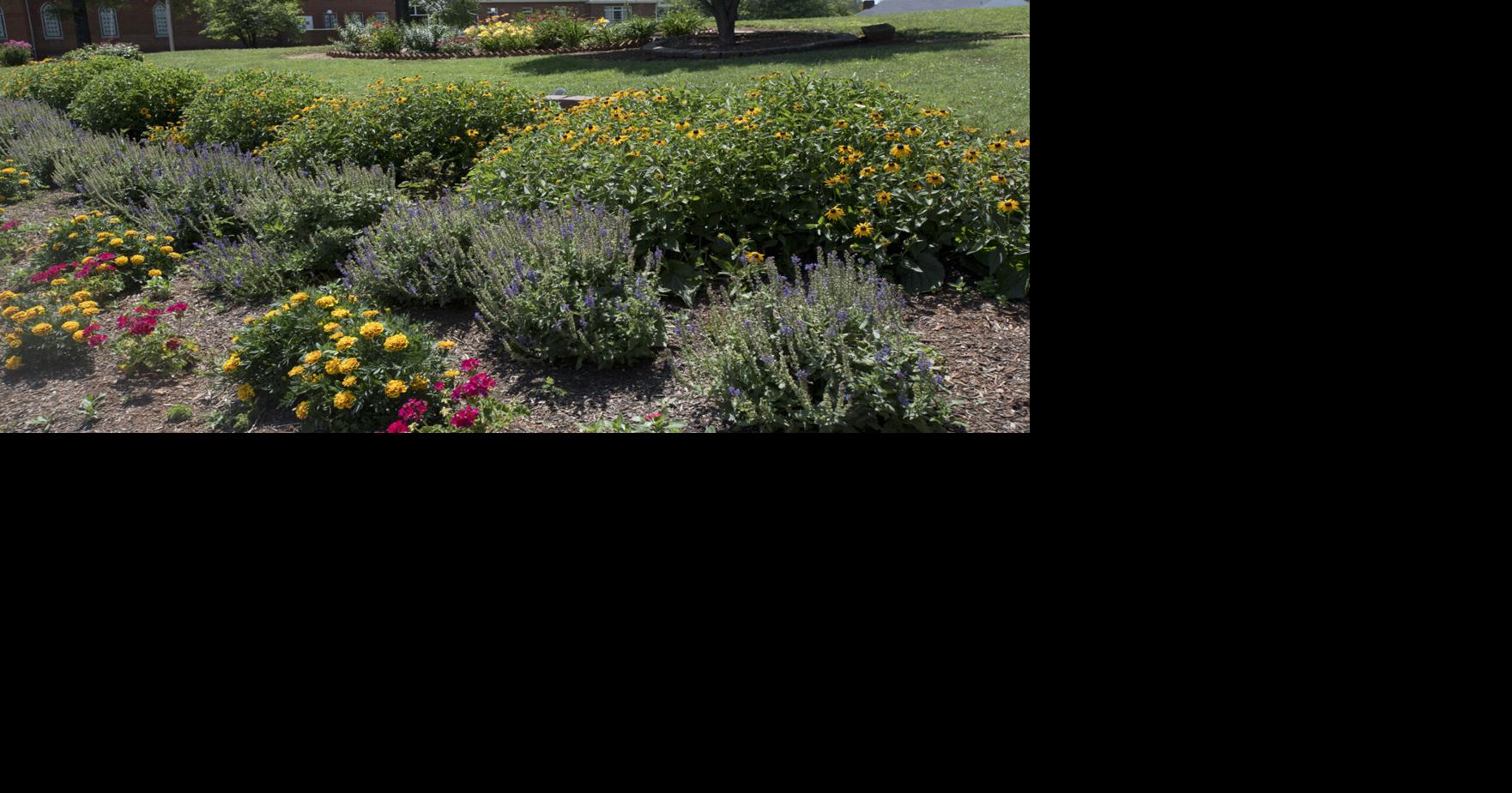 olive garden logan utah jobs