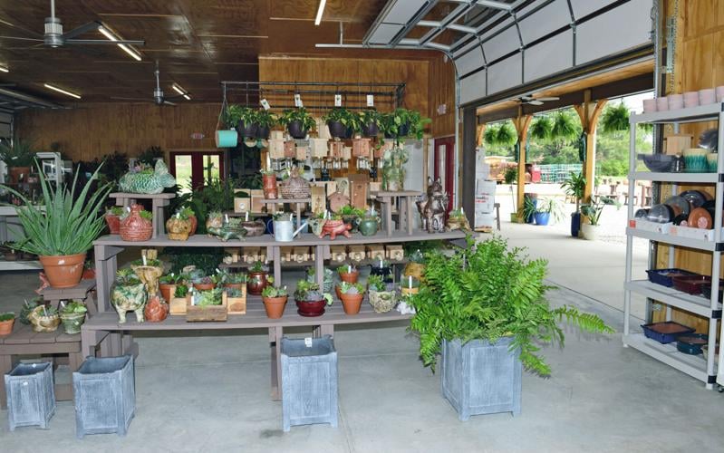 Beauty abounds Popes at Ginger's has new location in Maryville