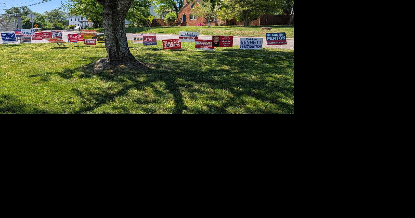More than 11,000 take advantage of early voting in Blount County
