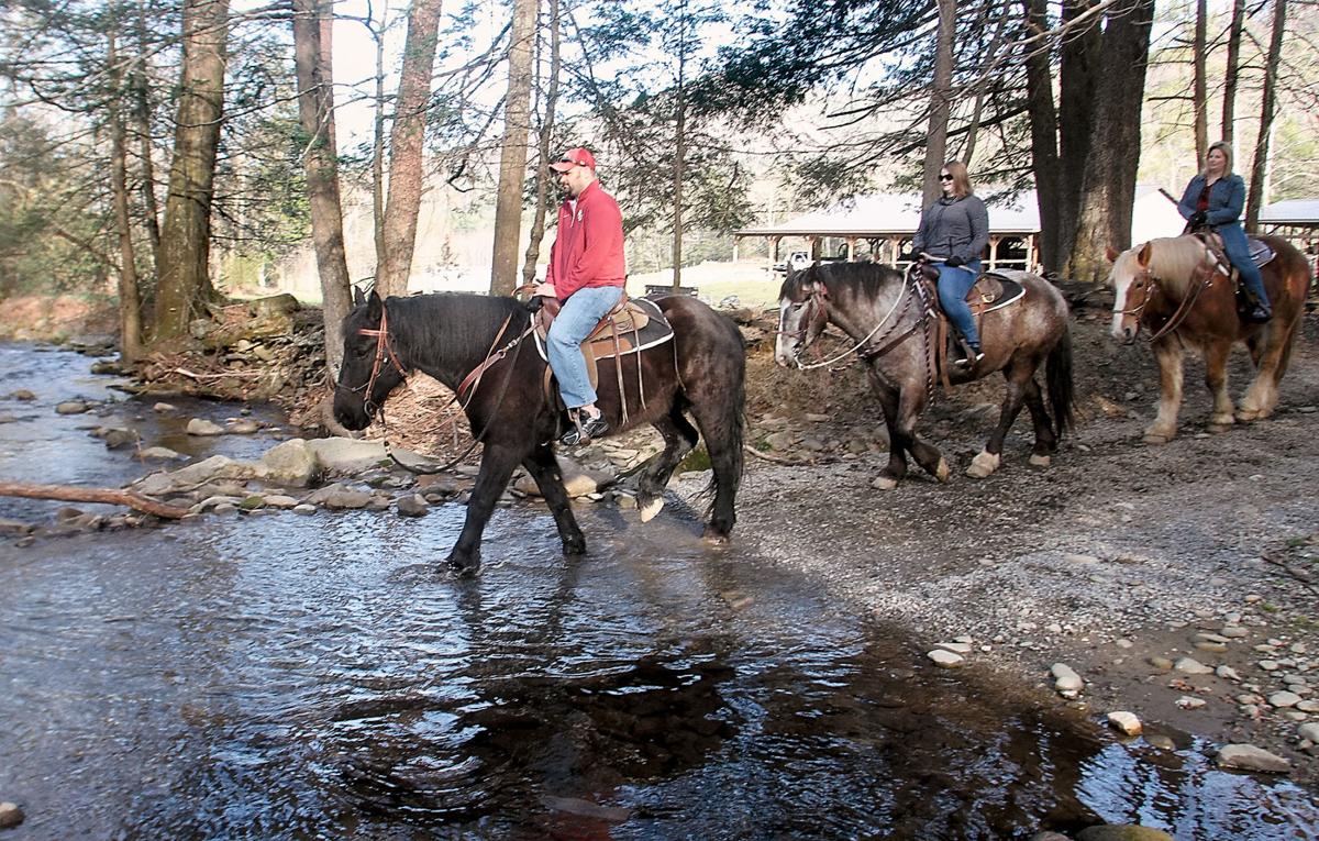 Horse Back Riding Cades Cove