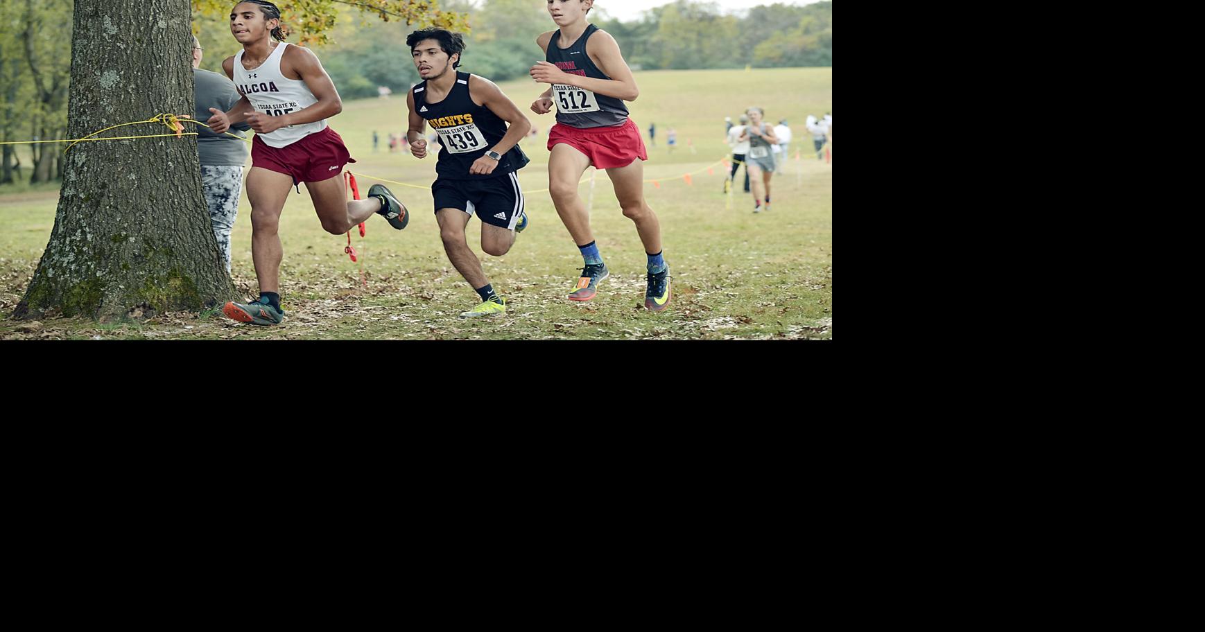 Alcoa shines at TSSAA state cross country meet Sports