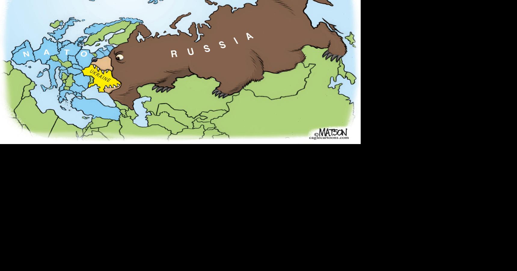 Russian bear Opinion