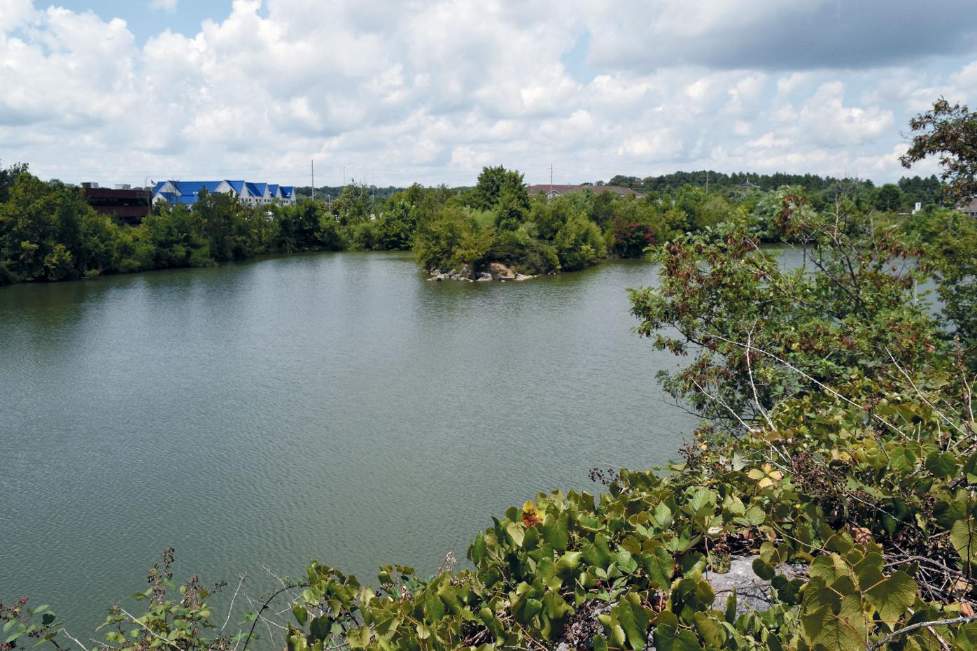 Alcoa considers Springbrook lake improvements News