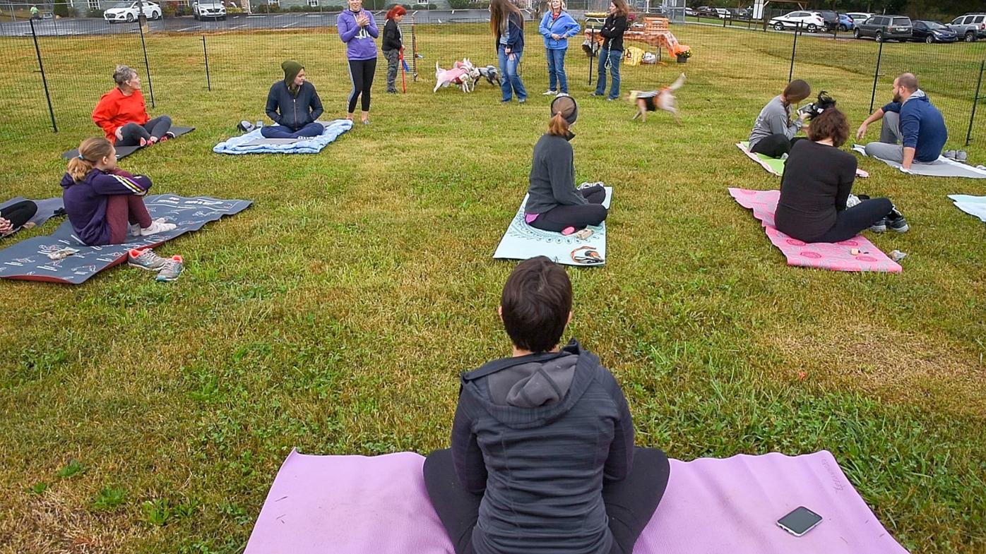 Puppy yoga gives new meaning to down dog | News ...