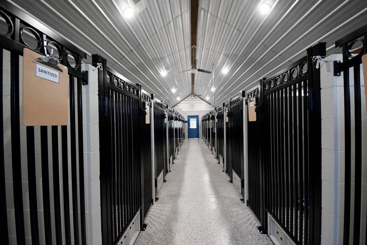 Brewster’s Bark & Bed specializes in pampering pets Business