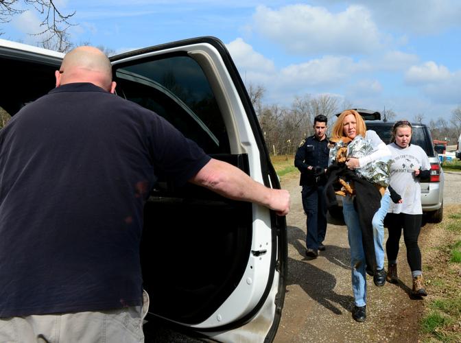 'Emaciated' dogs seized from Blount County property, charges pending ...