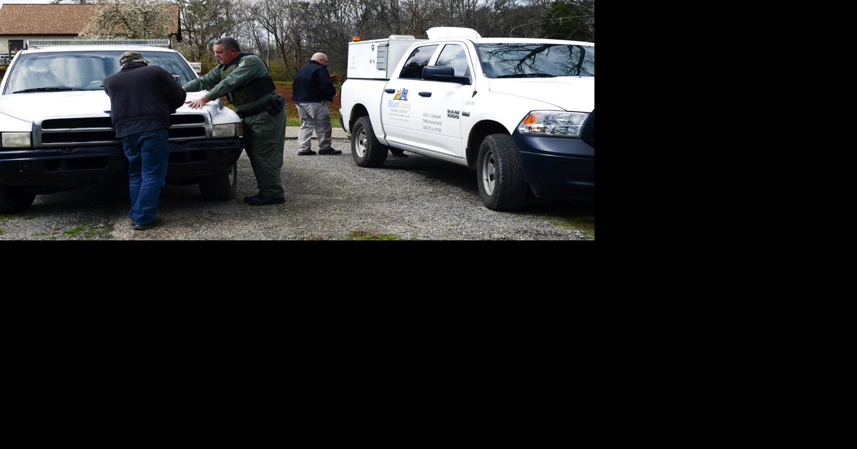 'Emaciated' dogs seized from Blount County property, charges pending ...